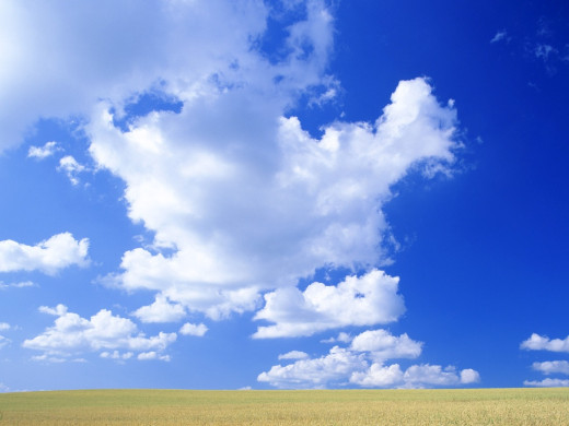 24749 (a): :1024x768